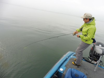 truth truth_news ブログ写真 2015/11/18