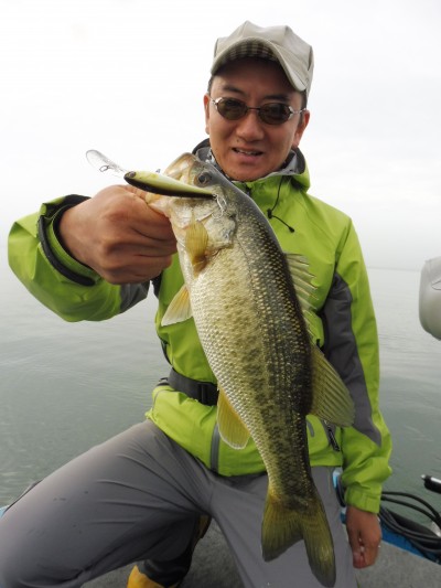 truth truth_news ブログ写真 2015/11/18