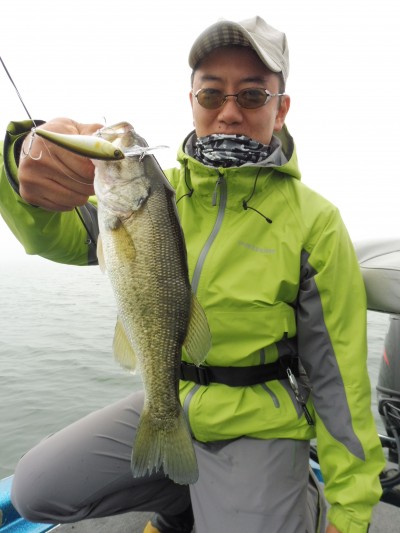 truth truth_news ブログ写真 2015/11/18