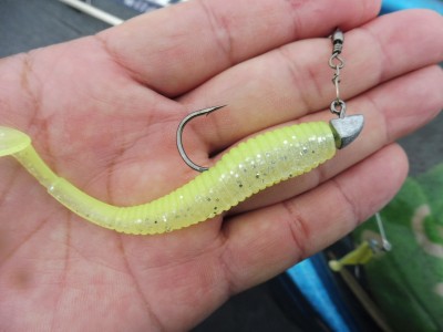 truth truth_news ブログ写真 2015/11/18