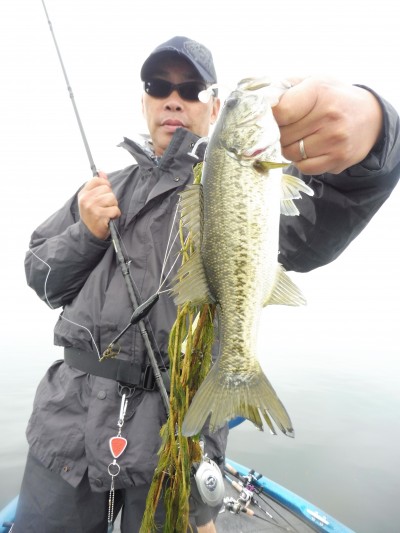 truth truth_news ブログ写真 2015/11/18