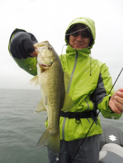 truth truth_news ブログ写真 2015/11/18