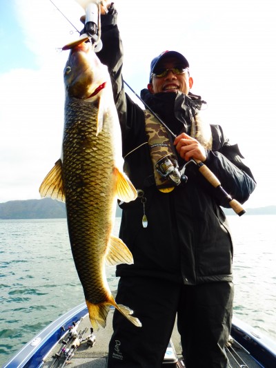 truth truth_news ブログ写真 2015/11/19