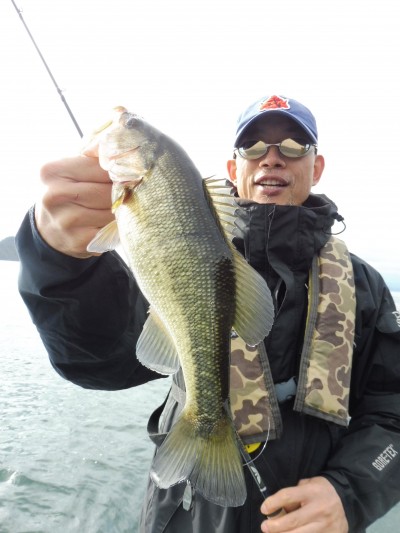 truth truth_news ブログ写真 2015/11/19