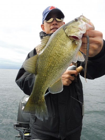 truth truth_news ブログ写真 2015/11/19