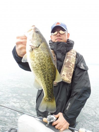 truth truth_news ブログ写真 2015/11/19