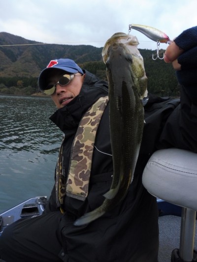 truth truth_news ブログ写真 2015/11/19