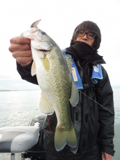 truth truth_news ブログ写真 2015/11/20