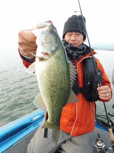 truth truth_news ブログ写真 2015/11/20