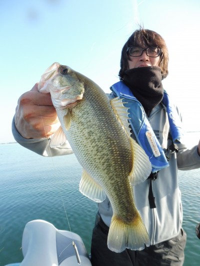 truth truth_news ブログ写真 2015/11/20