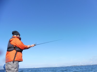 truth truth_news ブログ写真 2015/11/20