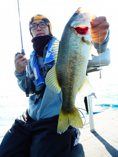 truth truth_news ブログ写真 2015/11/20