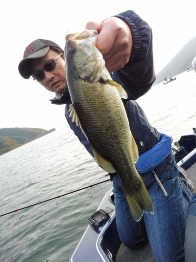 truth truth_news ブログ写真 2015/11/21