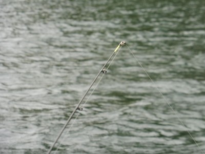 truth truth_news ブログ写真 2015/11/21