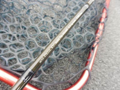 truth truth_news ブログ写真 2015/11/21