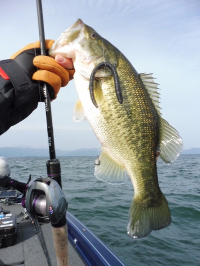 truth truth_news ブログ写真 2015/11/21