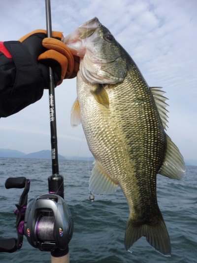 truth truth_news ブログ写真 2015/11/21