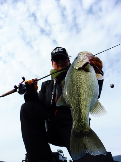 truth truth_news ブログ写真 2015/11/21