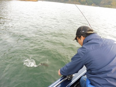 truth truth_news ブログ写真 2015/11/21