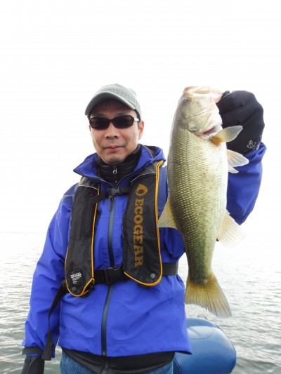 truth truth_news ブログ写真 2015/11/24