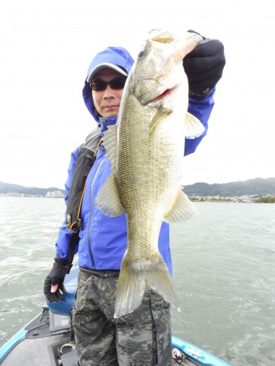 truth truth_news ブログ写真 2015/11/24