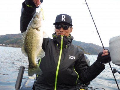 truth truth_news ブログ写真 2015/12/02