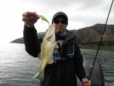 truth truth_news ブログ写真 2015/12/05