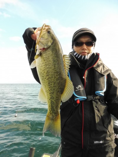truth truth_news ブログ写真 2015/12/05