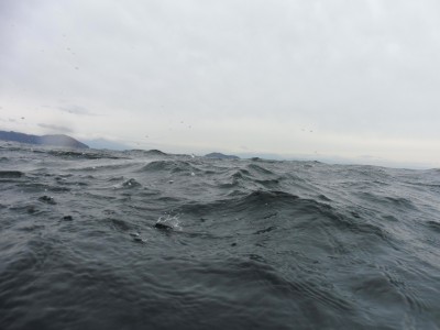 truth truth_news ブログ写真 2015/12/10