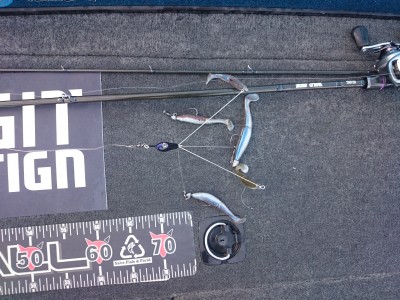 truth truth_news ブログ写真 2015/12/11