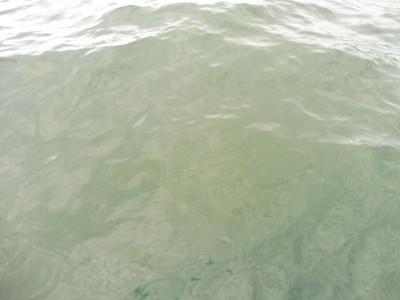 truth truth_news ブログ写真 2015/12/13