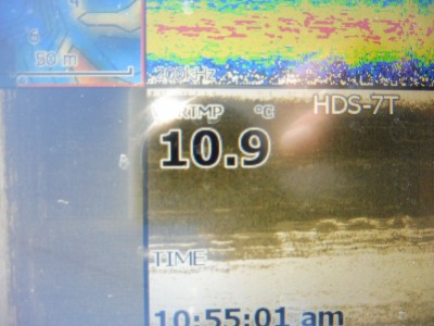 truth truth_news ブログ写真 2015/12/13