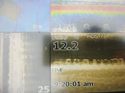 truth truth_news ブログ写真 2015/12/13