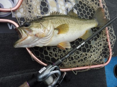 truth truth_news ブログ写真 2015/12/13