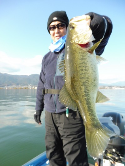 truth truth_news ブログ写真 2015/12/13