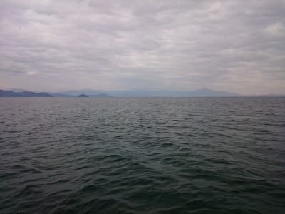 truth truth_news ブログ写真 2015/12/13