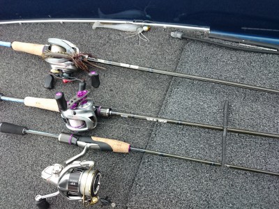 truth truth_news ブログ写真 2015/12/13