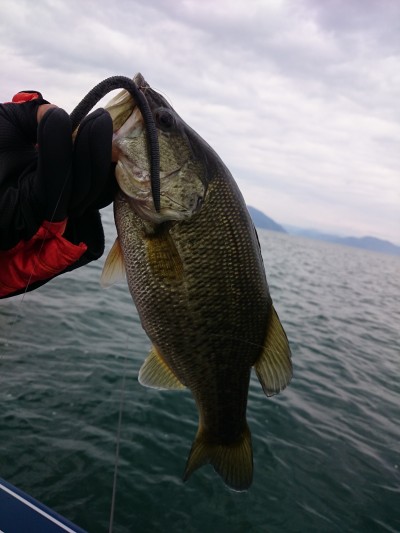 truth truth_news ブログ写真 2015/12/13