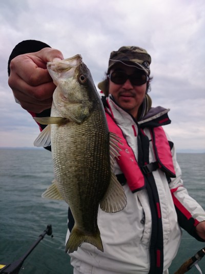 truth truth_news ブログ写真 2015/12/13