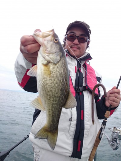 truth truth_news ブログ写真 2015/12/13