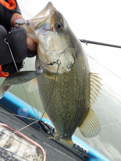 truth truth_news ブログ写真 2015/12/14