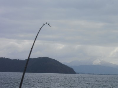 truth truth_news ブログ写真 2015/12/19