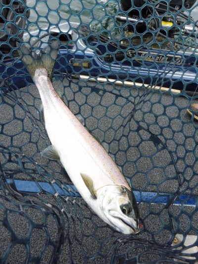 truth truth_news ブログ写真 2015/12/19