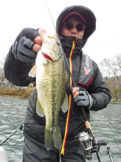 truth truth_news ブログ写真 2015/12/19