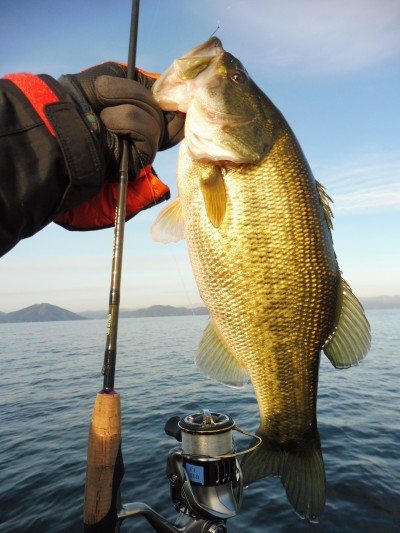 truth truth_news ブログ写真 2015/12/20