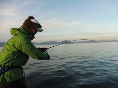 truth truth_news ブログ写真 2015/12/20