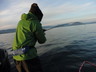 truth truth_news ブログ写真 2015/12/20