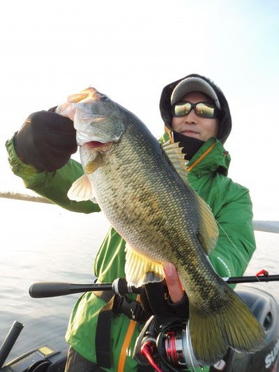 truth truth_news ブログ写真 2015/12/20