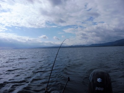 truth truth_news ブログ写真 2015/12/22