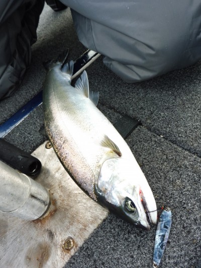 truth truth_news ブログ写真 2015/12/22